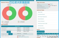 怎样打人最痛但验不出伤cba录像全场回放cctv拳击csgo各赛事等级排名